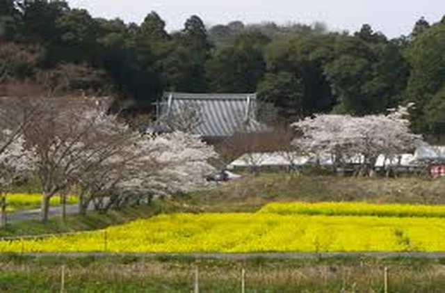 普賢寺小学校区の自然豊かな風景